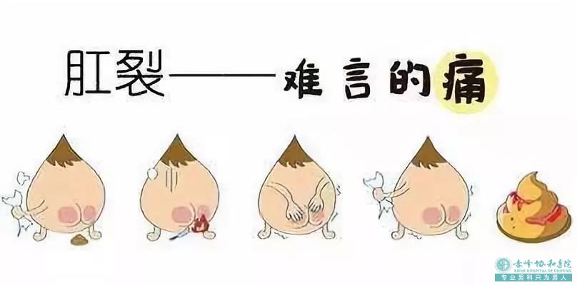 大连开发区宁城县肛周脓肿对我们有哪些危害?